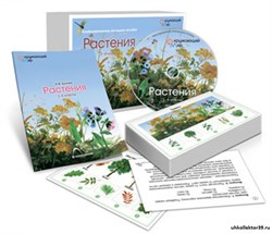Комбинированное наглядное пособие  «Растения» ОПН_17