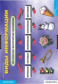 Комплект таблиц Введение в  информатику 1-310-084