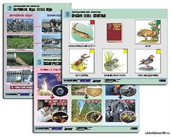 Комплект таблиц для нач. шк. "Окружающий мир. Экология" (6 табл., формат А1,лам.) 12212