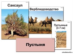 Модель-аппликация "Природные зоны России" (ламинированная) 10304