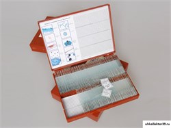 Комплект микропрепаратов "Ботаника 1" 5790
