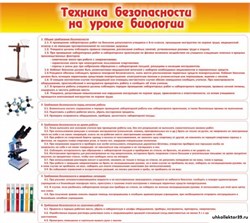 Стенд Техника безопасности на уроках биологии ШК-0704