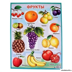 Плакат "Фрукты" 279777