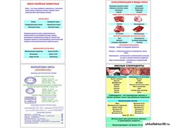 Плакаты ПРОФТЕХ "Классификации и виды мяса" 11080