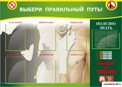 Стенд ВЫБЕРИ ПРАВИЛЬНЫЙ ПУТЬ! ШК-2705