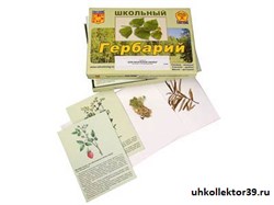 Гербарий "Для начальной школы" (30 видов, с иллюстрациями) 8552