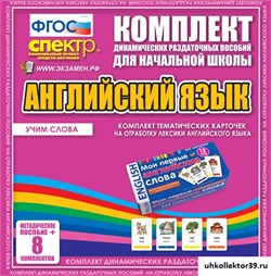 Комплект тематических карточек на отработку лексики английского языка.  Динамические раздаточные пособия  РК-3018-10