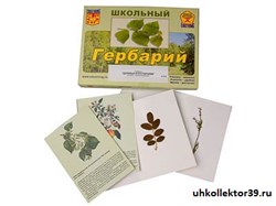 Гербарий "Деревья и кустарники" (22 вида, с иллюстрациями) 8550