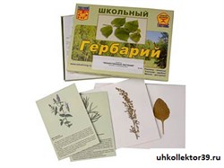 Гербарий "Лекарственные растения" (22 вида, с иллюстрациями) 8554