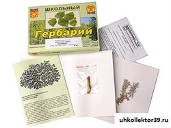 Гербарий "Водоросли. Грибы. Лишайники" (раздаточный) 8661