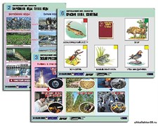 Комплект таблиц для нач. шк. "Окружающий мир. Экология" (6 табл., формат А1,лам.) 12212