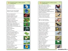 Комплект карточек (10) "Обучающий калейдоскоп. Природа 10522