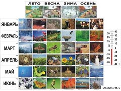 Фенологические наблюдения 4916