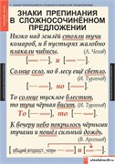 Комплект таблиц. Русский язык. 9 класс (6 таблиц) 4-1142-006