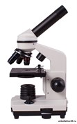 Микроскоп Levenhuk Rainbow 2L 69035