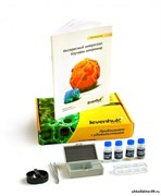 Набор для опытов с микроскопом Levenhuk K50 13461