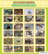 Стенд Красная книга - млекопитающие ШК-0723