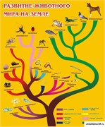 Стенд Развитие животного мира на земле ШК-0706