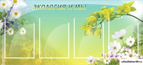 Стенд Экология и мы ШК-0710