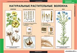 ТЕХНОЛОГИЯ Технология обработки ткани. Материаловедение 5-8609-007
