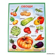 Плакат "Овощи" 279776