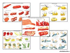 Плакаты ПРОФТЕХ "Первичная обработка продуктов и приготовление полуфабрикатов" 11062