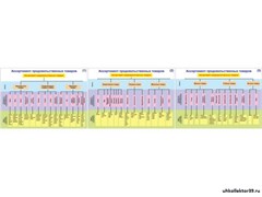 Плакаты ПРОФТЕХ "Ассортимент продовольственных товаров" 10668