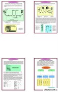 Плакаты ПРОФТЕХ "Тепловая обработка молока" 11173