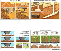 Плакаты ПРОФТЕХ "Основы агрономии" 10852
