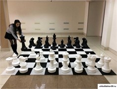 Гигантские шахматные фигуры (61 см)  без доски ГШ3