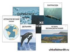 Модель-аппликация "Океаны. Знакомство" (ламинированная) 16237