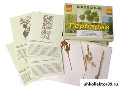 Гербарий "Систематика растений. Семейство Бобовые. Злаки" (раздаточный) 8665