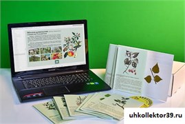 Гербарий натурально-интерактивный "Деревья и кустарники" 13651
