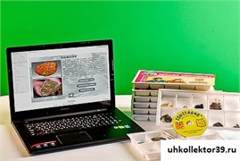 Коллекция натурально-интерактивная "Полезные ископаемые" 13681