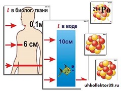 Модель-аппликация "Явление радиоактивности" (ламинированная) 7336