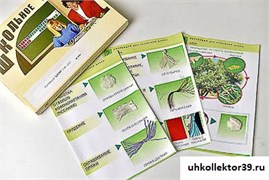 Коллекция "Шелк" (нач. шк.) 14555