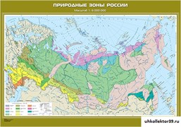 Карта Природные зоны России ( с новыми регионами РФ) КН-0603