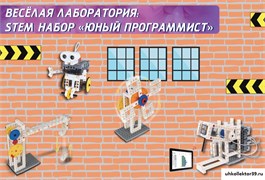 Веселая лаборатория: STEM набор Юный программист FL-PROG-10