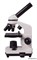 Микроскоп Levenhuk Rainbow 2L 69035
