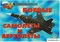 Плакаты "Боевые самолеты и вертолеты" (18 плакатов, формат 21*30 см.) 4649